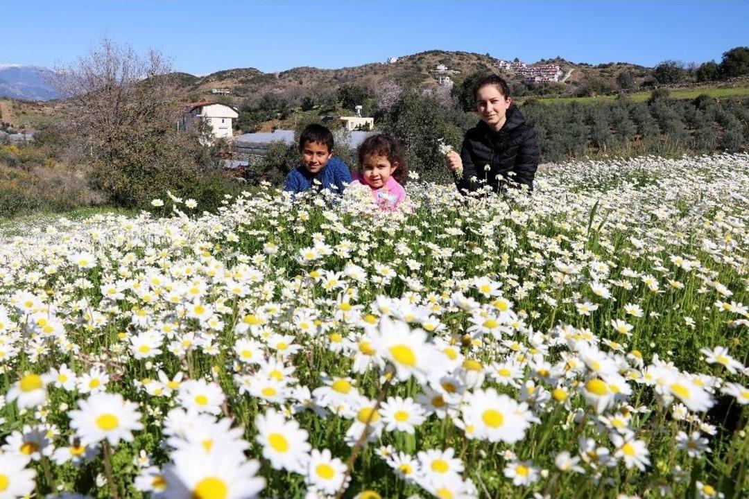 D&uuml;şen İlk Cemre Antalya&rsquo;ya Baharı Getirdi