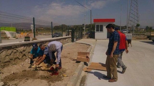 Tariş Kolonya Aydın’da Dualarla Üretime Başladı