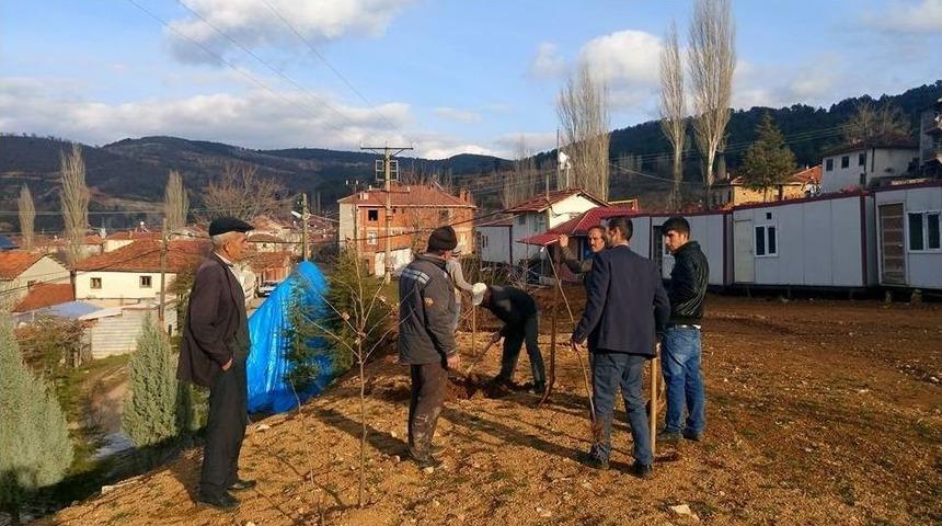 K&ouml;yde İmece Usul&uuml; Fidan Dikimi