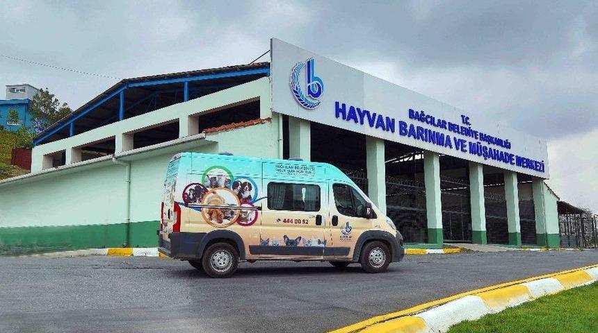 &ldquo;yetişkinler K&ouml;pek &Ccedil;ocuklar İse Kedi Sahipleniyor&rdquo;