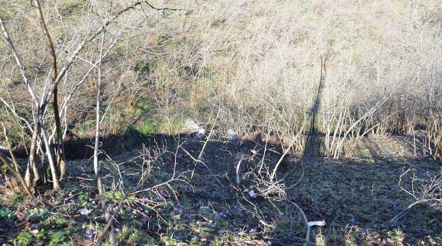 Ordu’da Pikap Fındık Bahçesine Yuvarlandı: 4 Yaralı