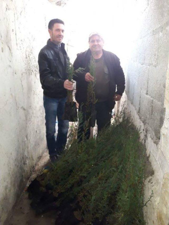 Muhtardan “vatanını Seviyorsan Ağaç Dik” Kampanyası 1