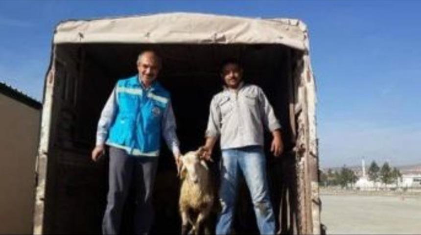 Emet&rsquo;te 13 &Ccedil;ift&ccedil;iye 390 Bin Tl Hibe Desteği