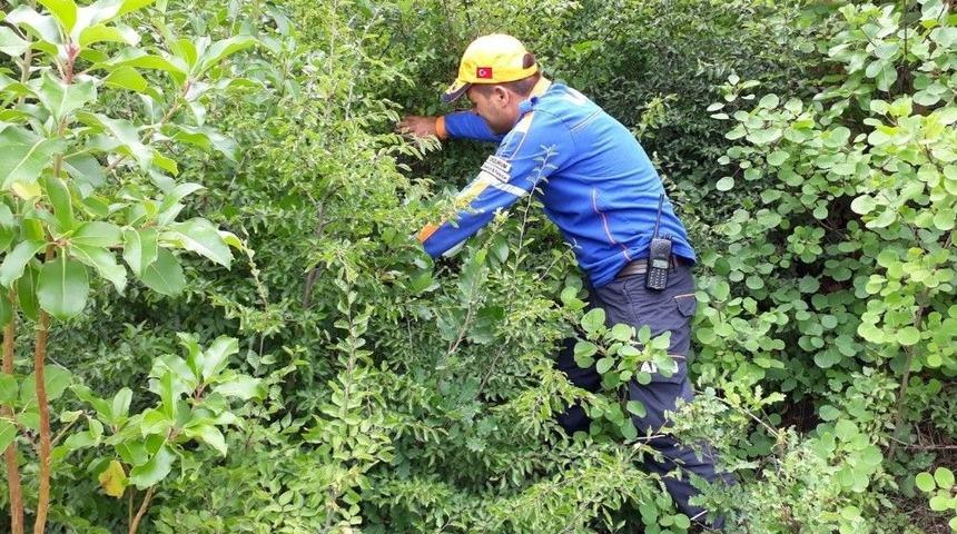 83 Yaşındaki Alzheimer Hastası Hüseyin Yılmaz’ı Her Yerde Arıyorlar