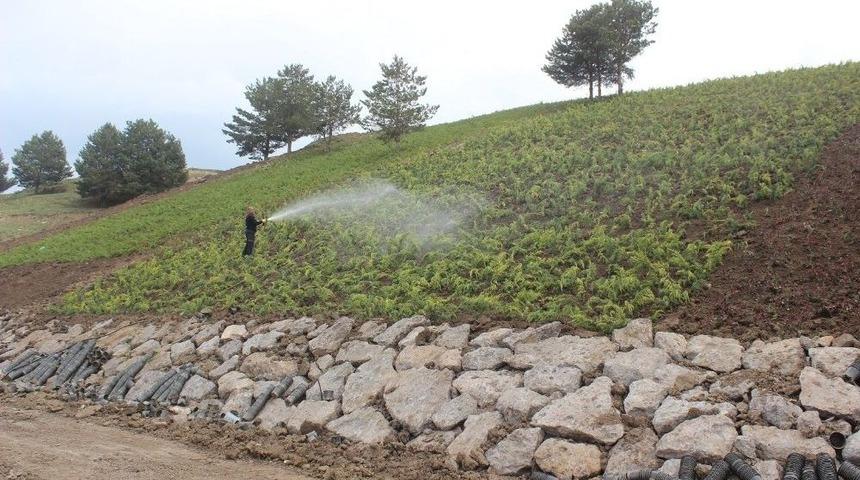 Ağrı&rsquo;da &Ccedil;evre D&uuml;zenlemesi Devam Ediyor