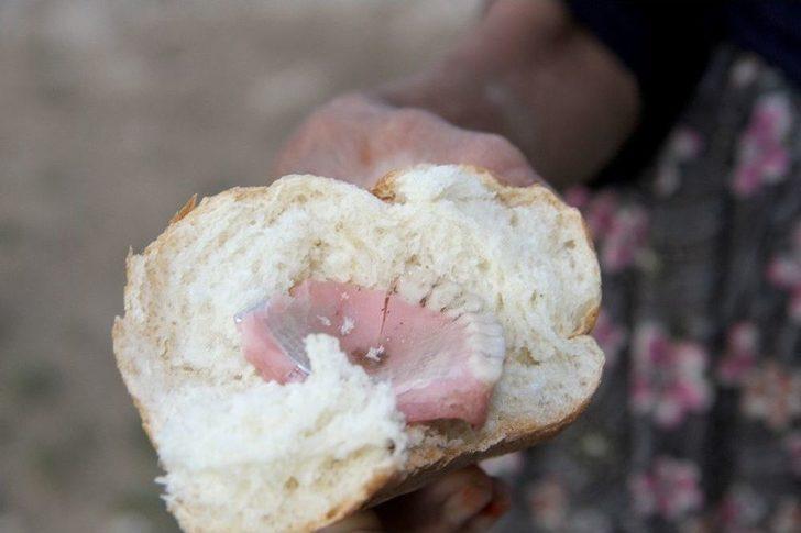 Ekmeğin İçinden Çıkanı Görünce Şok Oldular G1