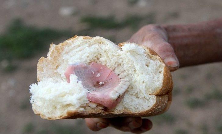 Ekmeğin İçinden Çıkanı Görünce Şok Oldular G2