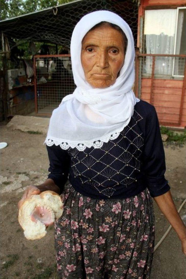 Ekmeğin İçinden Çıkanı Görünce Şok Oldular G5