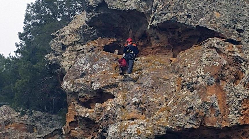 Ayvacık&rsquo;ta Ke&ccedil;i Kurtarma Operasyonu