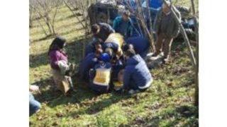 Ordu’da Patpat Kazası: 2 Yaralı