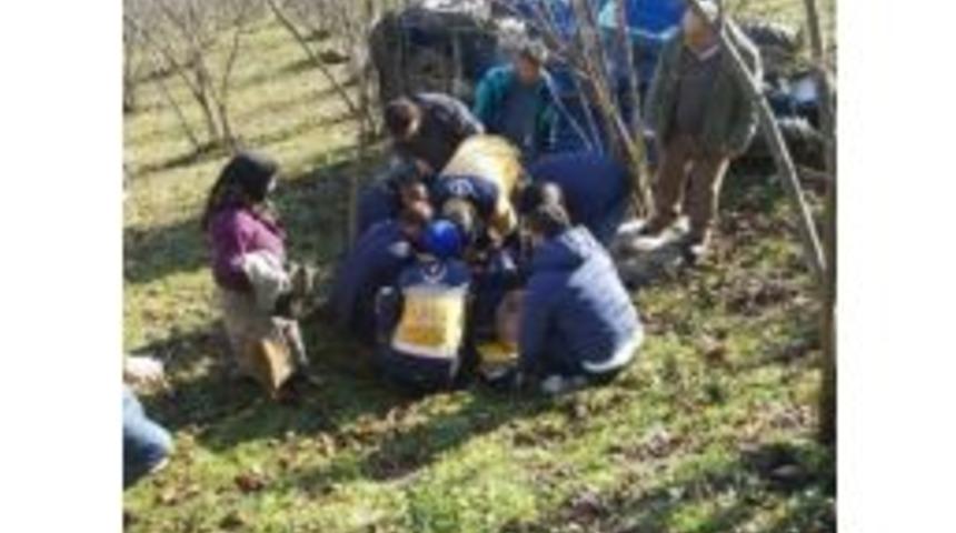 Ordu’da Patpat Kazası: 2 Yaralı