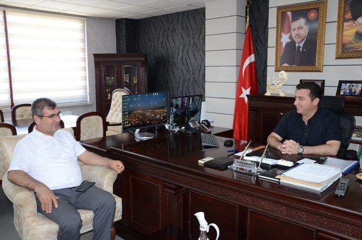 Erikli Tabiat Parkı Çalışmaları Başladı G1