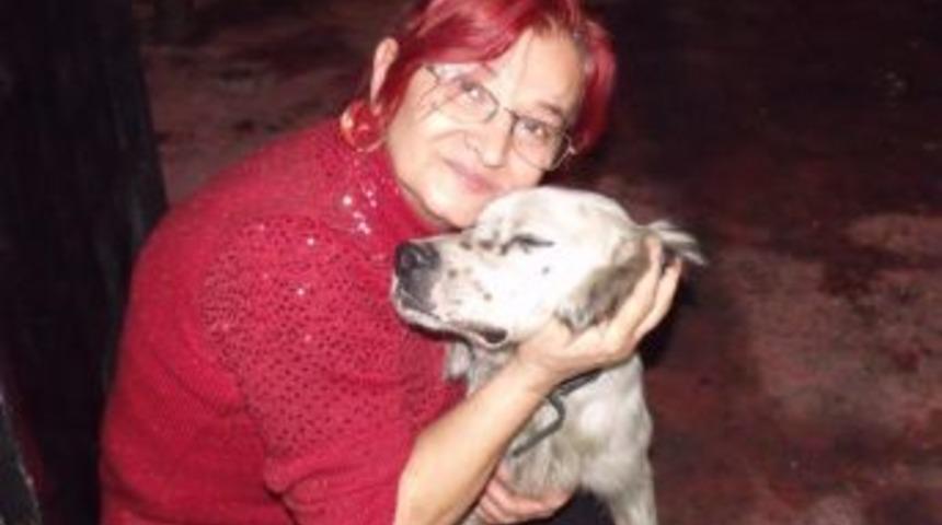 Arığ’dan Hayvanlara Karşı Şiddete Tepki