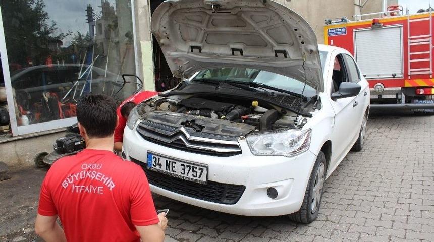 Vatandaş Ve İtfaiyenin Yavru Kediyle Sınavı