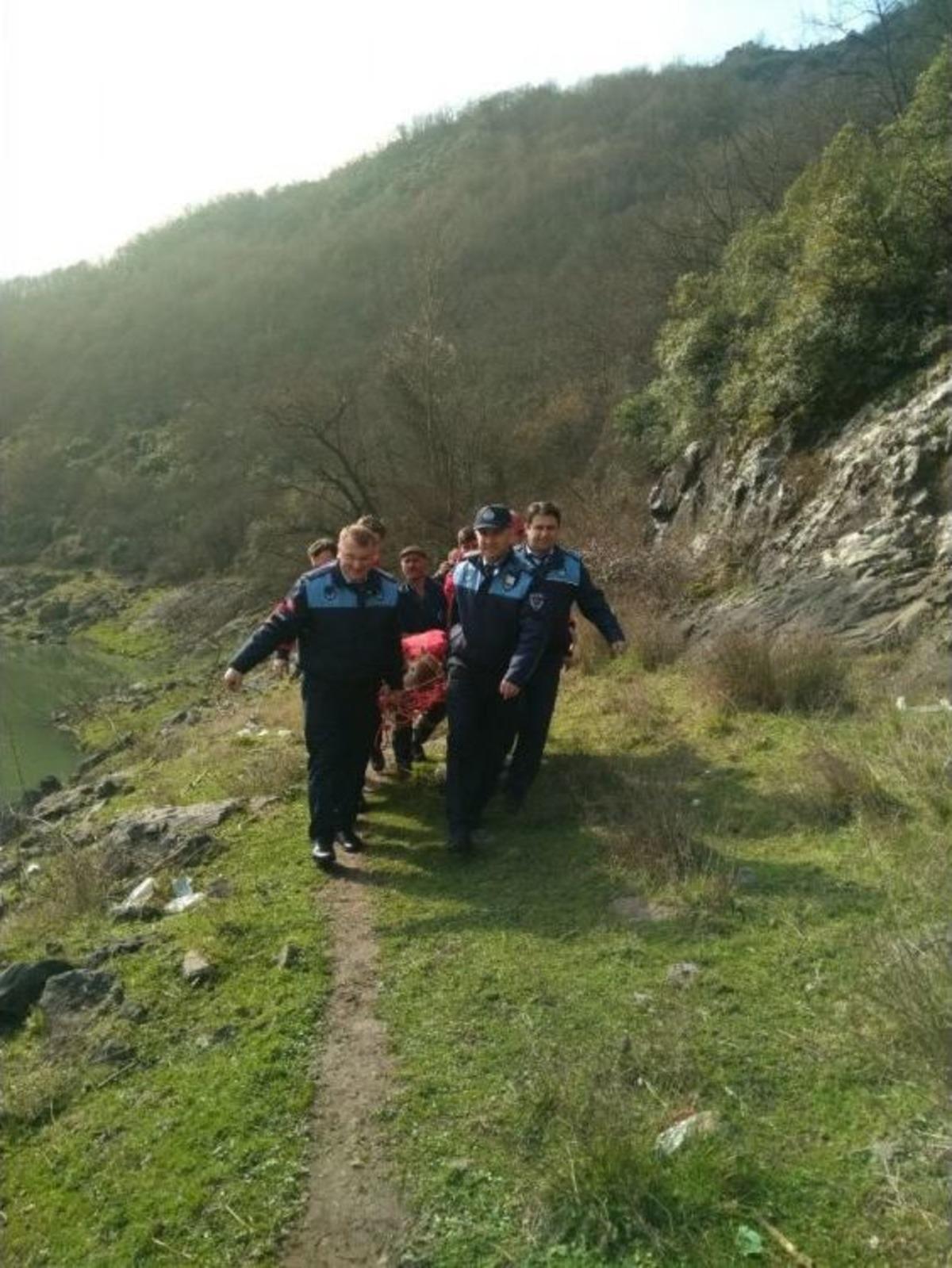 Yaralı İneği Kurtarıp Sedye İle Tedaviye G&ouml;t&uuml;rd&uuml;ler