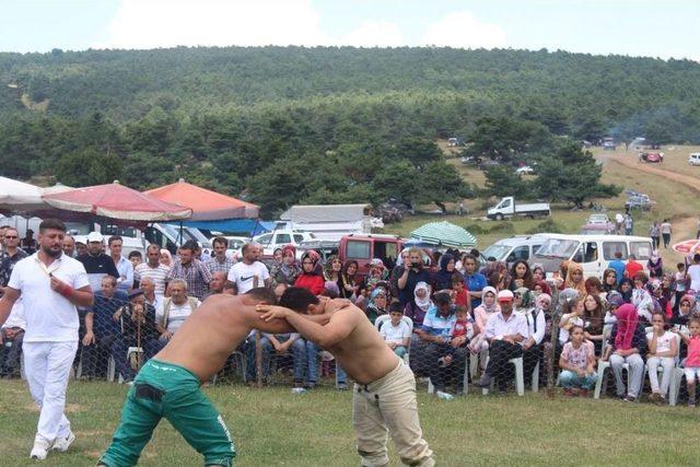 Tokat’ta Gurugöl Yayla Şenliği