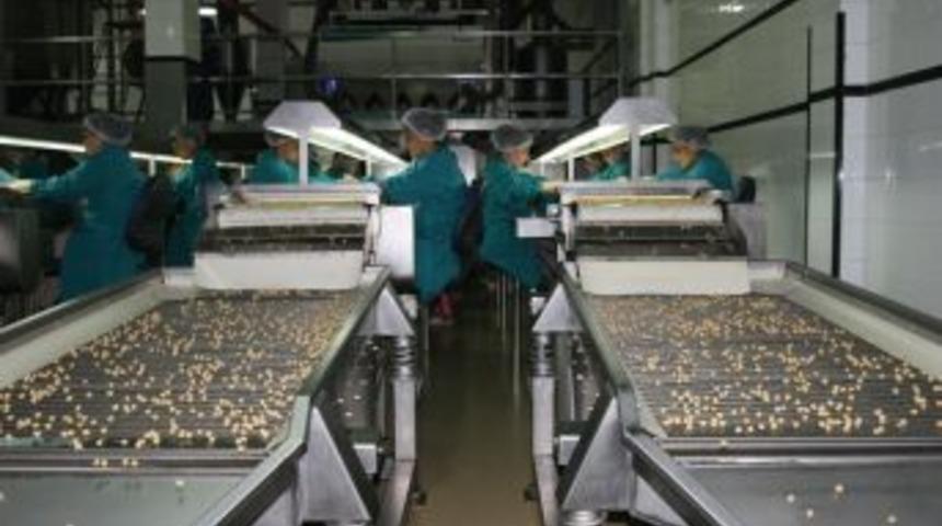 Fındıktan 10 Ayda 1,6 Milyar Dolarlık Gelir