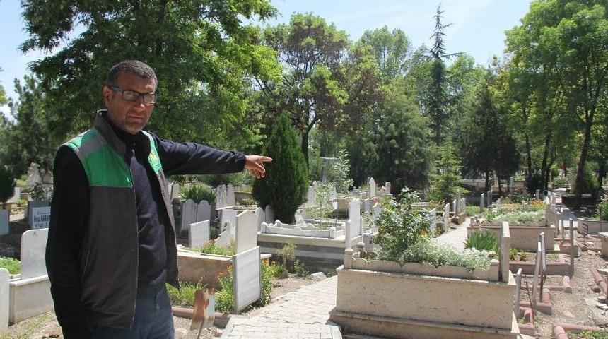 &Ccedil;orum&rsquo;da Mezarlıktaki Kızı G&ouml;ren G&ouml;revli: "abartılacak Bir Şey Yok"