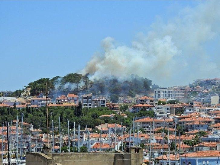 Çeşme’de Orman Yangını Korkuttu G1
