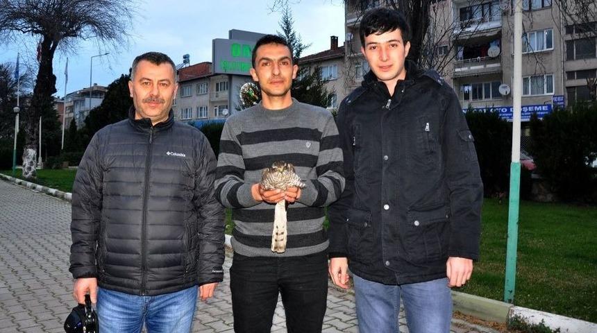 Yaralı Şahine Sahip Çıktı