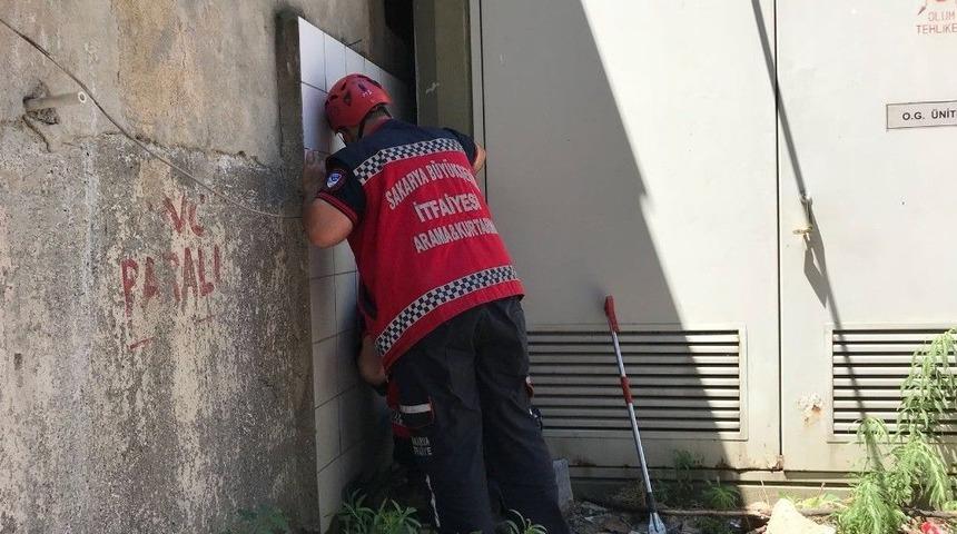 Duvar İle Trafo Arasına Sıkışan Kediyi İtfaiye Ekipleri Kurtardı