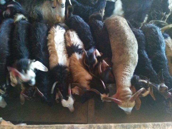 17 Haneli Borcak Köyü 2 Gündür Susuz G1