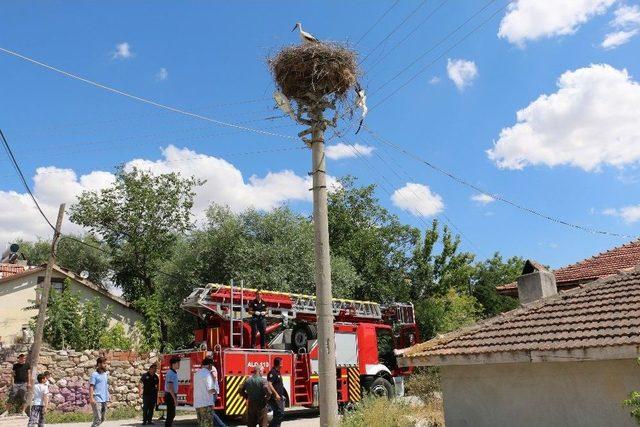 Çankırı’da Tellere Takılan Leylek Kurtarıldı