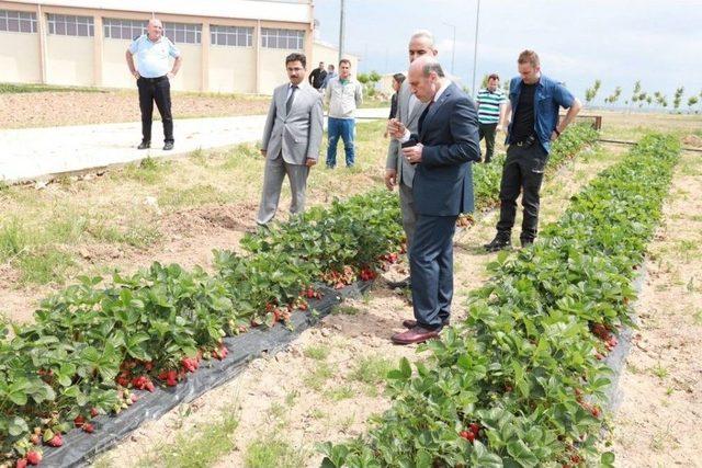 Vali Çiftçi Cezaevini İnceledi