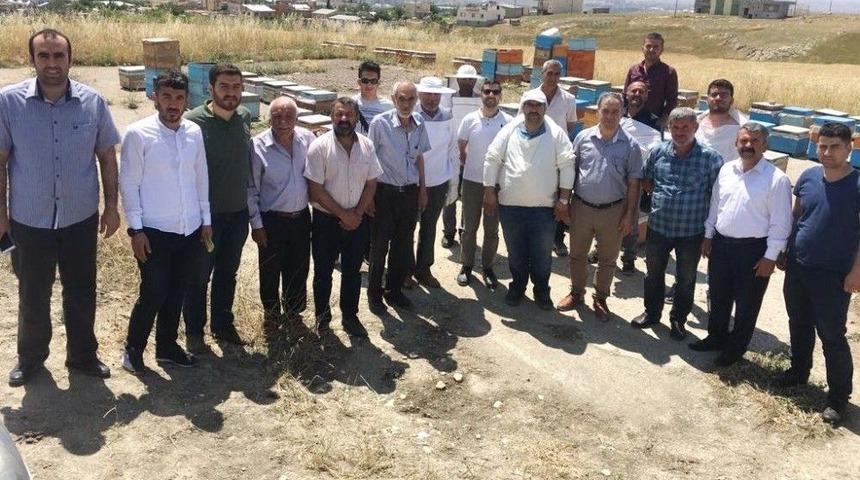Arı Yetiştiriciliği Kursu Tamamlandı