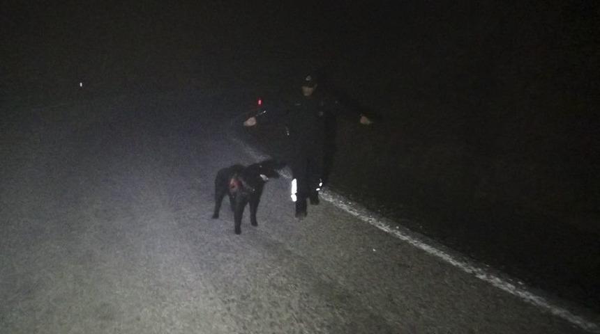 3 Kişiyi &Ouml;ld&uuml;r&uuml;p Sosyal Medyada Canlı Yayın Yapan Katil Zanlısına K&ouml;pekli Arama Başlatıldı