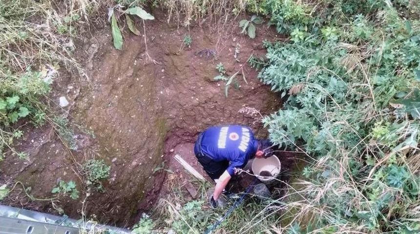 İtfaiye Bu Kez Kirpi Ve Kaplumbağa Kurtardı