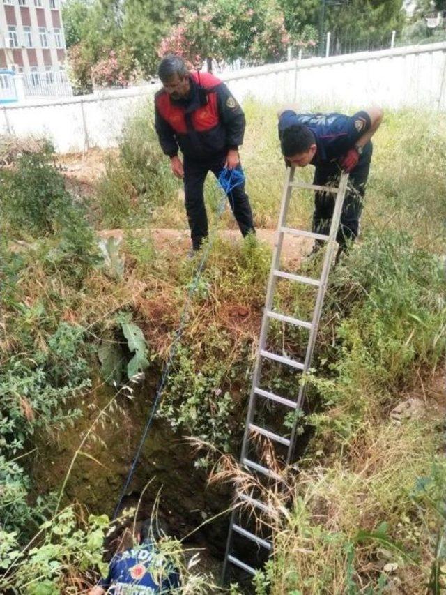 İtfaiye Bu Kez Kirpi Ve Kaplumbağa Kurtardı