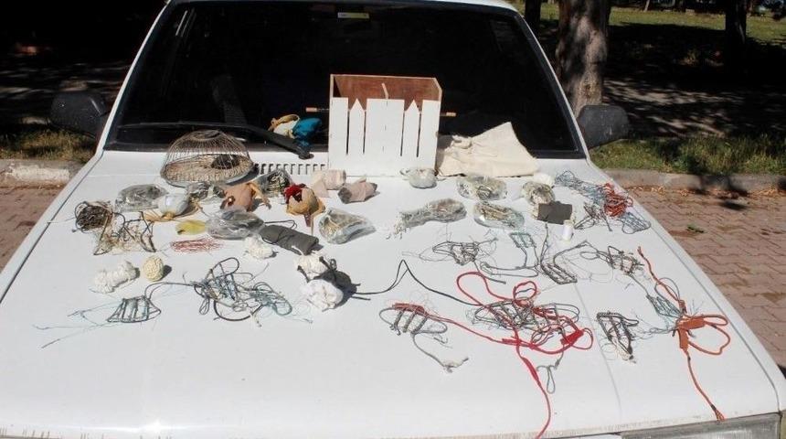 Şahin Avcıları Sivas&rsquo;ta Yakayı Ele Verdi