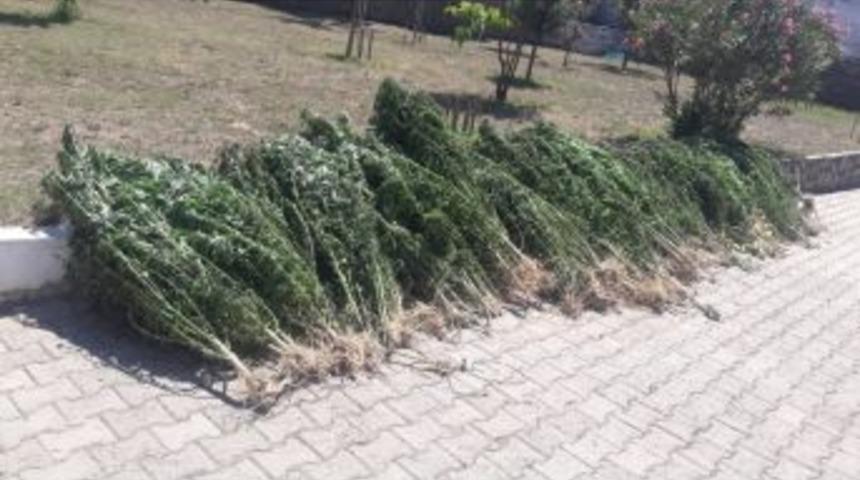 Jandarmadan Zehir Tacirlerine B&uuml;y&uuml;k Vurgun