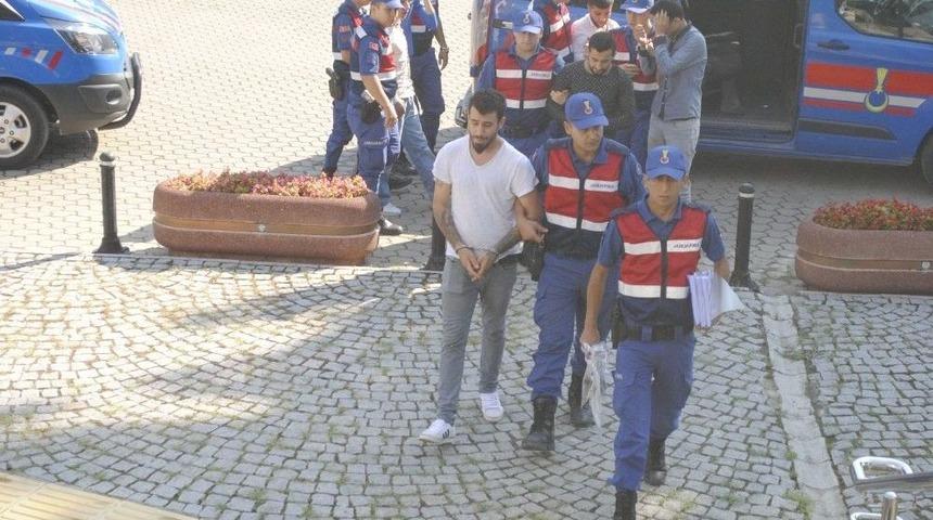 Mağaza Fareleri Yakalandı