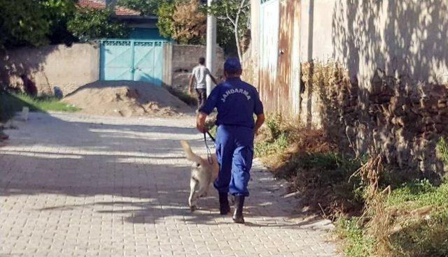 İzmir’de Anneanne Ve 1,5 Yaşındaki Torunu Kayıp