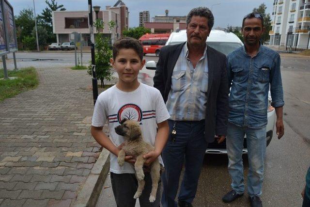 Otomobilin Motoruna Sıkışan Yavru Köpeği İtfaiye Kurtardı