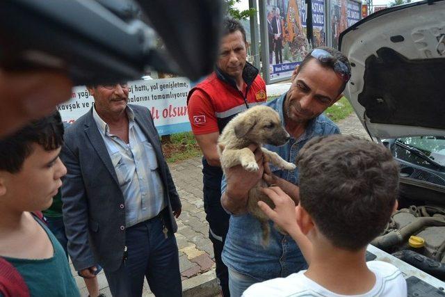 Otomobilin Motoruna Sıkışan Yavru Köpeği İtfaiye Kurtardı