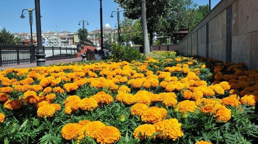 Keçiören’de Rengarenk Bir Yaz