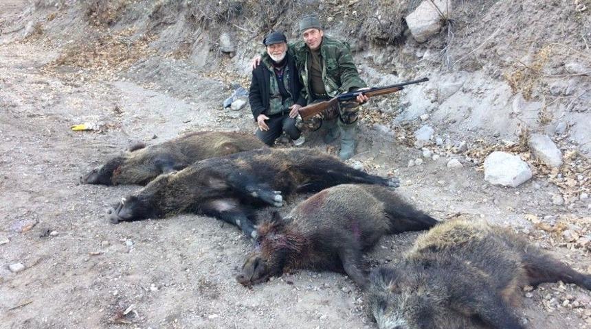 Karaman&rsquo;da Yaban Domuzu S&uuml;rek Avı D&uuml;zenlendi