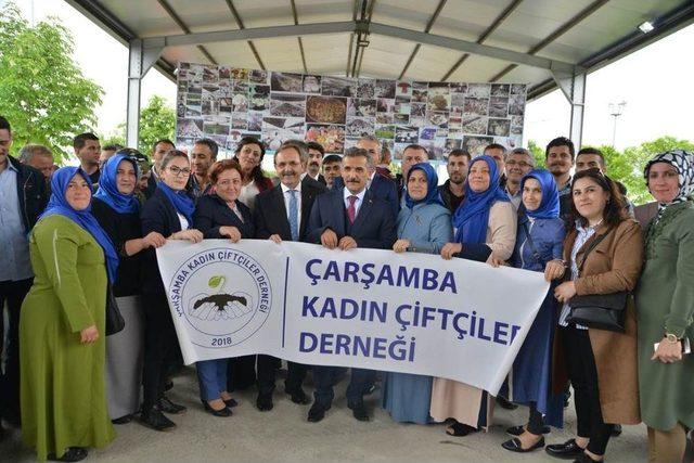 Samsun’da “mantar Şenliği”