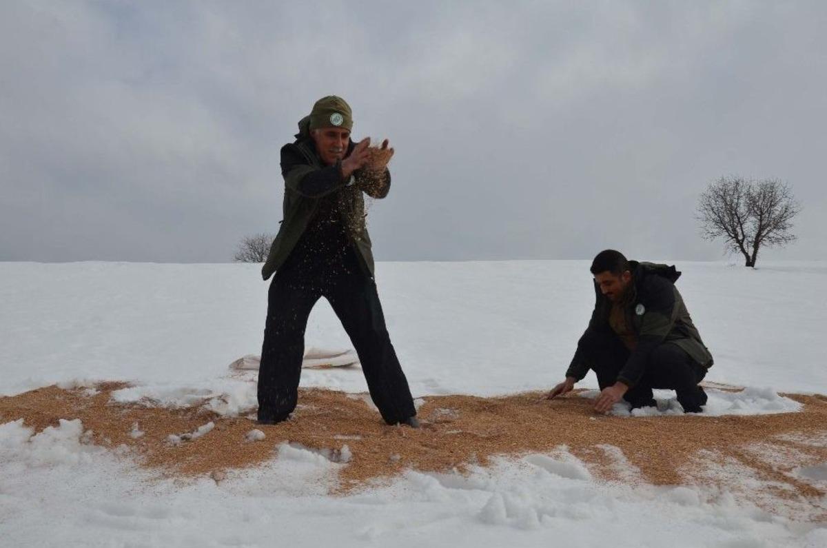 Muş&rsquo;ta Kanatlı Hayvanlar İ&ccedil;in Doğaya Yem Bırakıldı
