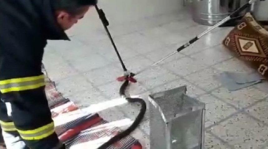 Eve Giren Yılan İtfaiye Ekiplerine Zor Anlar Yaşattı