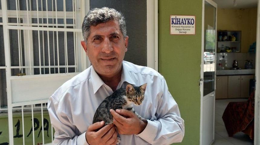 Kihayko Başkanı Metin: "hayvanları Koruma Kanunu Değiştirilmeli"