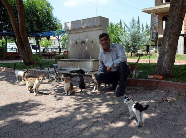 Kihayko Başkanı Metin: "hayvanları Koruma Kanunu Değiştirilmeli" 1