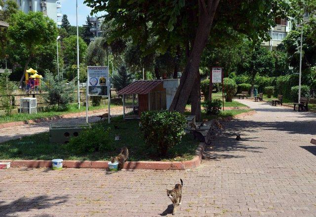 Kihayko Başkanı Metin: "hayvanları Koruma Kanunu Değiştirilmeli" 3