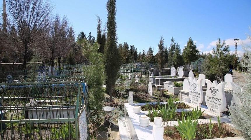 Siirt&rsquo;te Mezar Sahiplerine Fidan Dağıtıldı