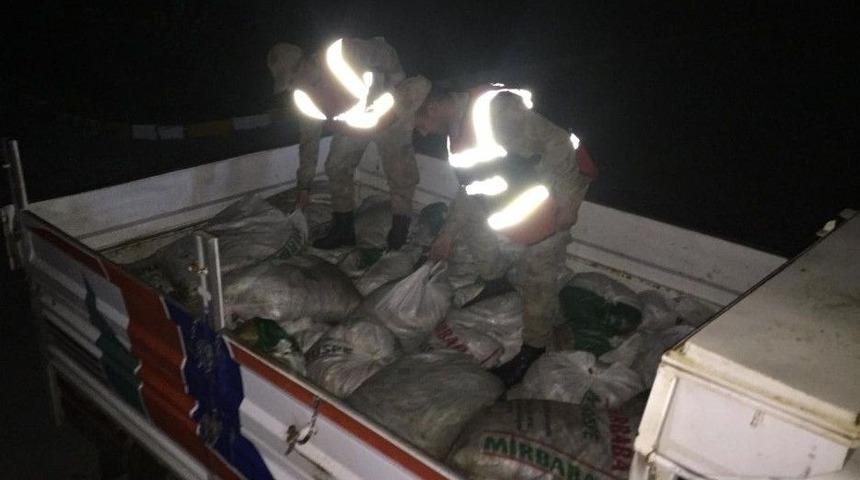 Muradiye&rsquo;de 8,5 Ton Ka&ccedil;ak Avlanmış İnci Kefali Balığı Ele Ge&ccedil;irildi