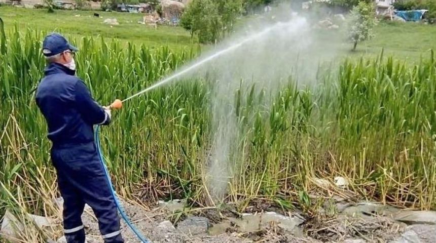 Hakkari&rsquo;de Haşerelerle M&uuml;cadele &Ccedil;alışması