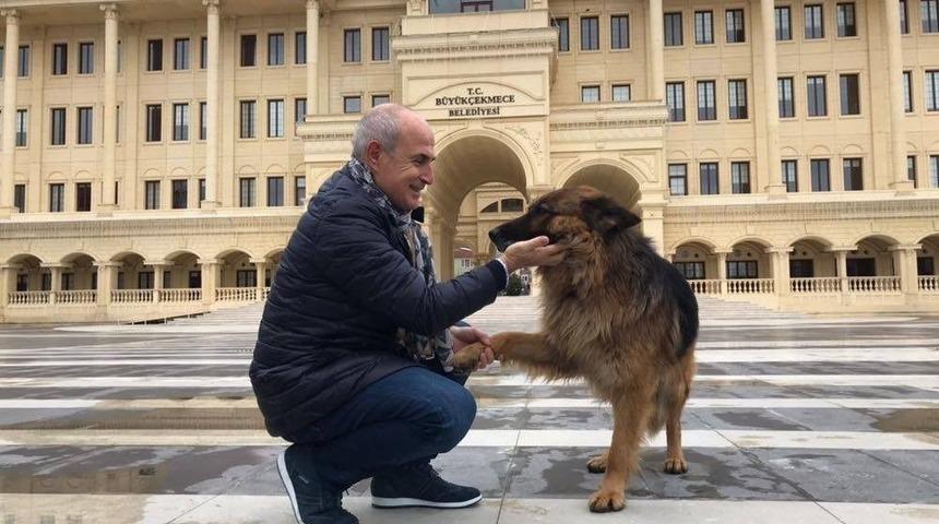 Hayvanların Barınakları Yenileniyor